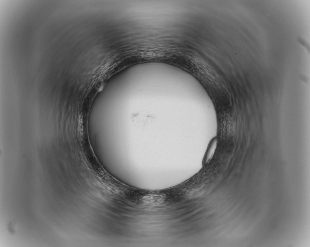 X0000096150700200802081412