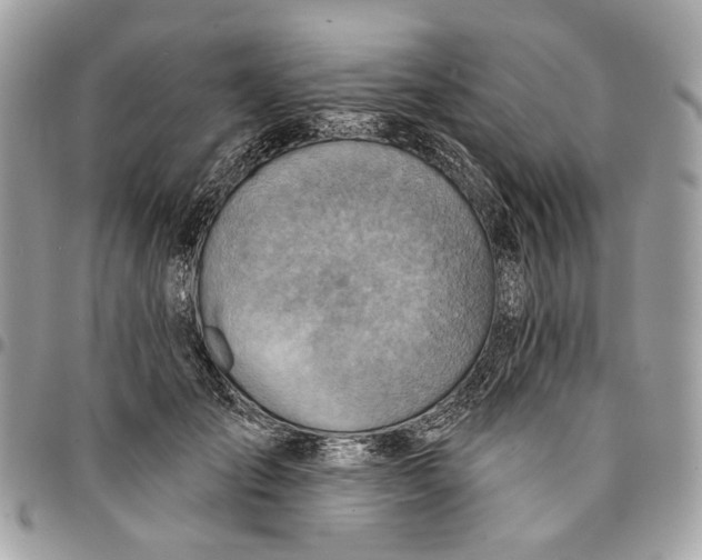 X0000096150701200802081412