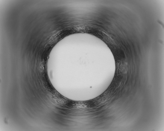 X0000096150702200802081412