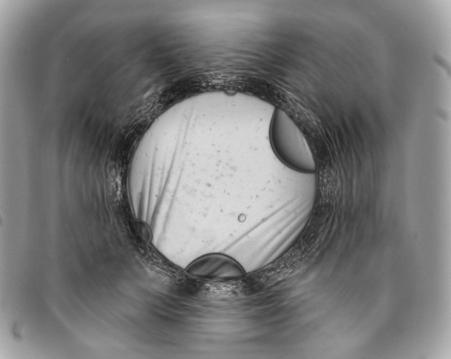 X0000096150703200802081412