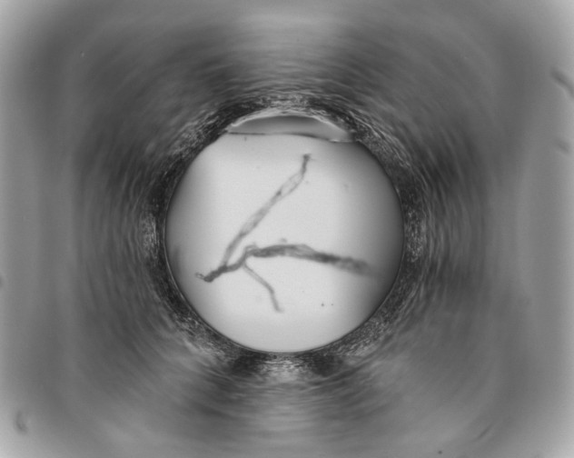 X0000096150704200802081412