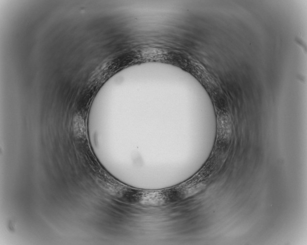 X0000096150705200802081412