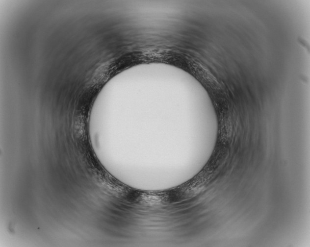 X0000096150706200802081412