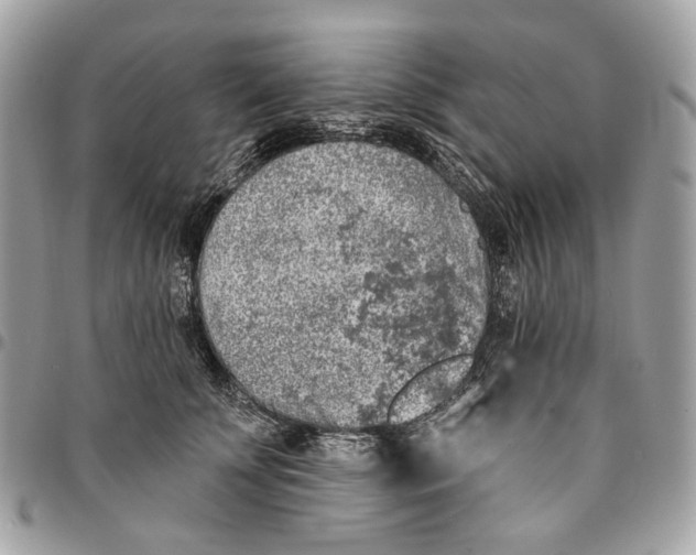 X0000096150707200802081412