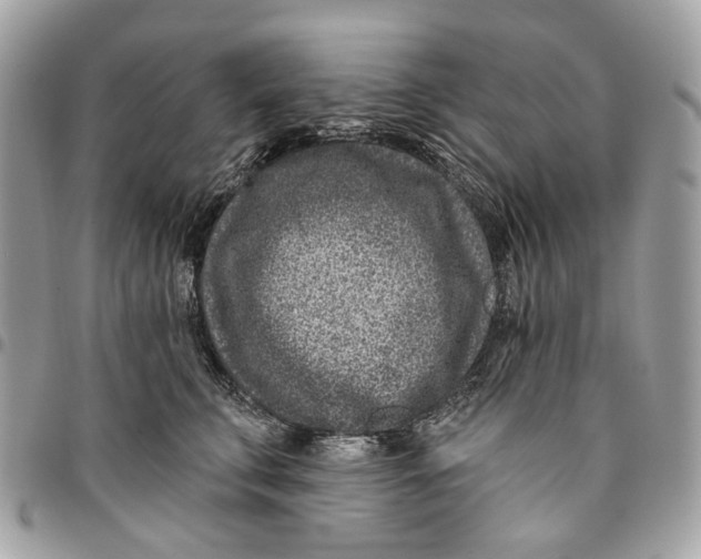 X0000096150711200802081412