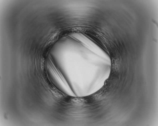 X0000096150712200802081412