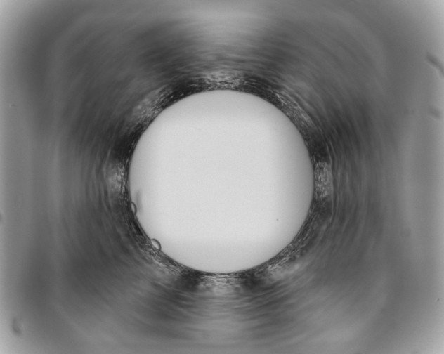 X0000096150713200802081412