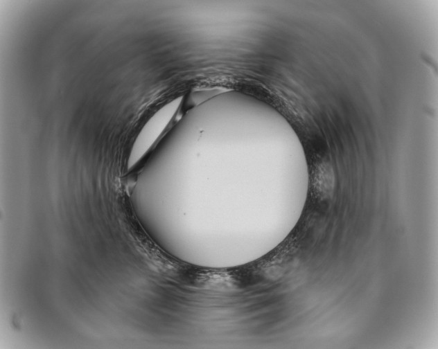 X0000096150715200802081412