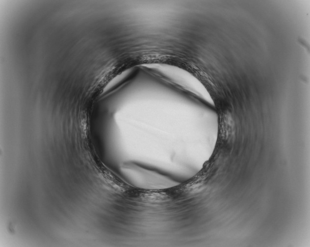 X0000096150716200802081412