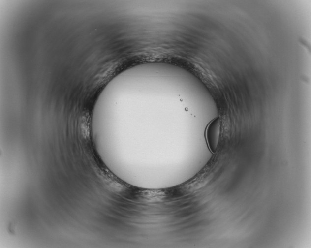 X0000096150719200802081412