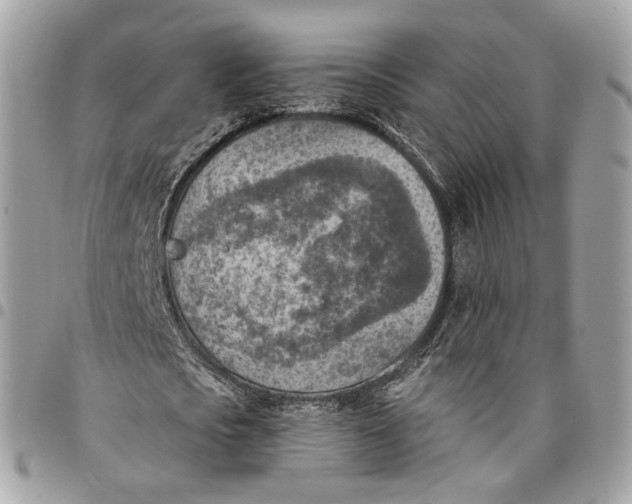 X0000096150721200802081411