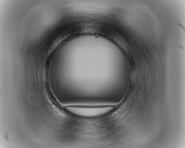 X0000096150722200802081411