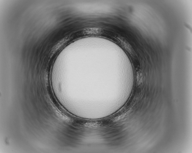 X0000096150725200802081411