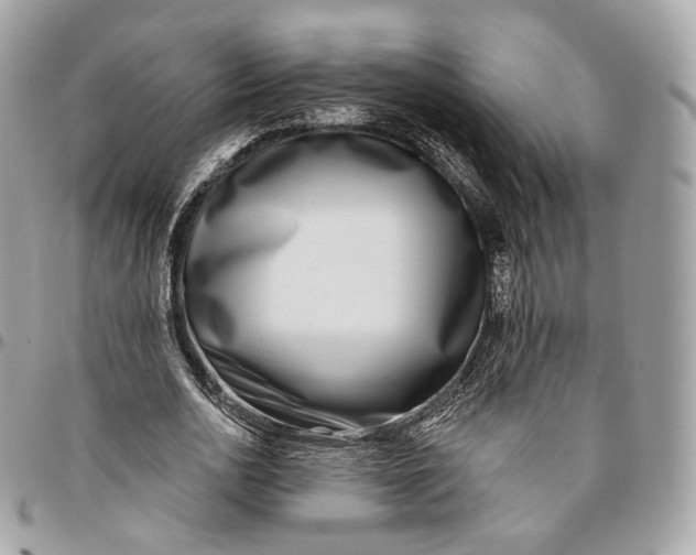 X0000096150726200802081411