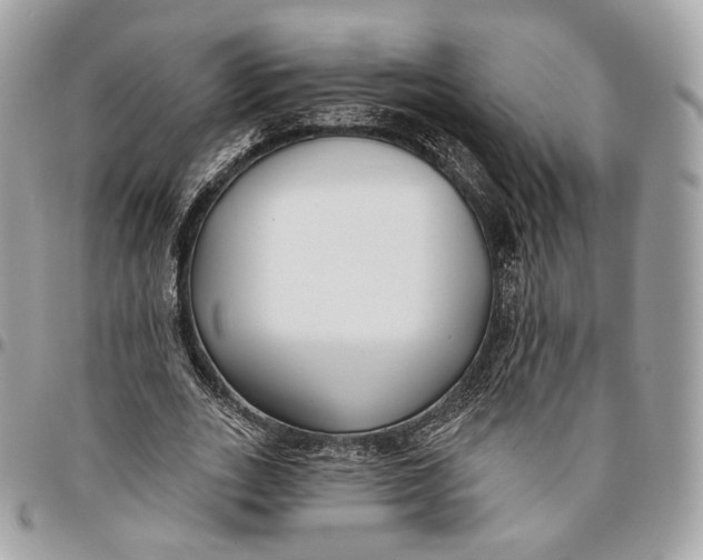 X0000096150727200802081411