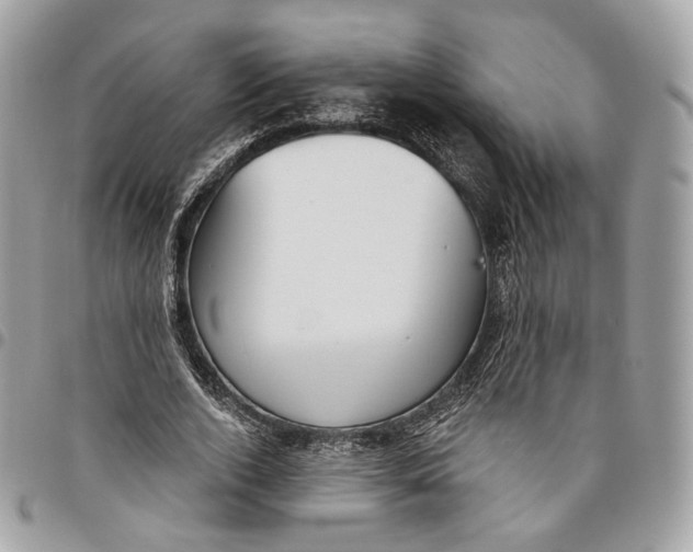 X0000096150728200802081411