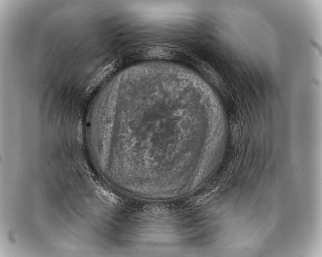 X0000096150729200802081411