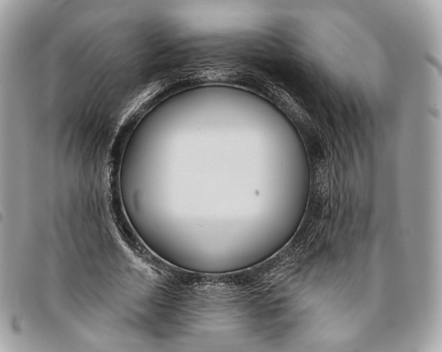 X0000096150730200802081411