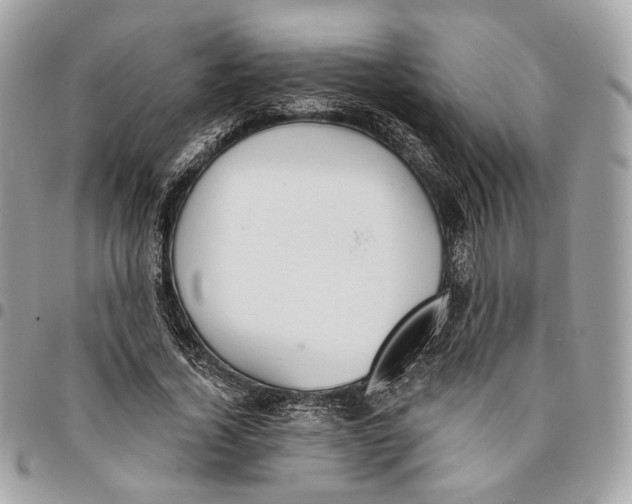 X0000096150732200802081411