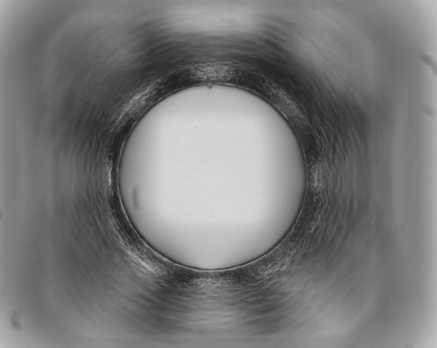 X0000096150733200802081411