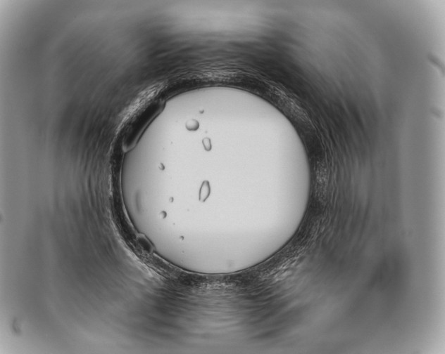 X0000096150734200802081411