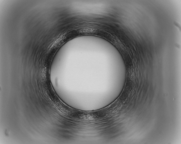 X0000096150735200802081411