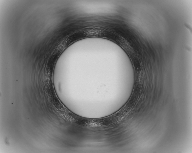 X0000096150737200802081411