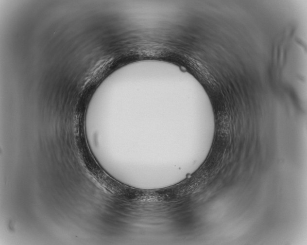 X0000096150738200802081411