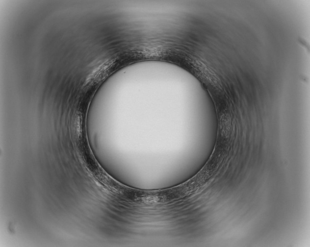 X0000096150740200802081411