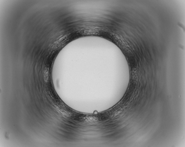 X0000096150741200802081411