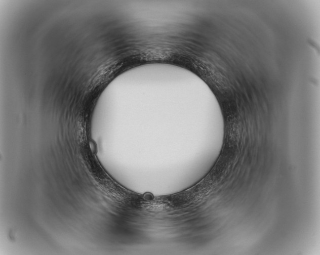 X0000096150743200802081411