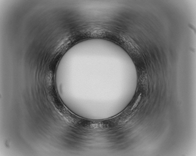 X0000096150744200802081411