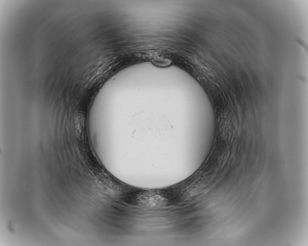 X0000096150747200802081411