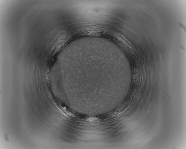 X0000096150748200802081411