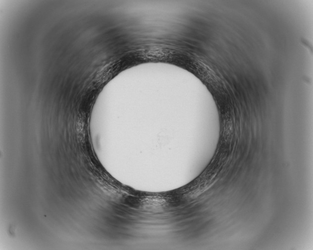 X0000096150749200802081411