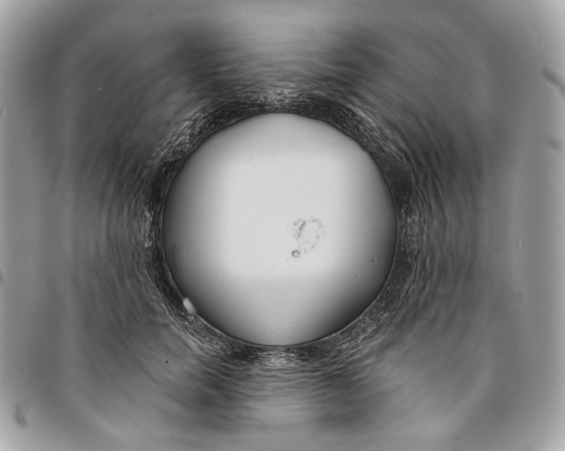 X0000096150750200802081411