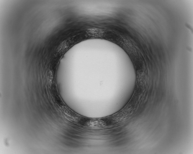 X0000096150752200802081411