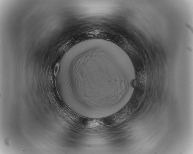 X0000096150754200802081411