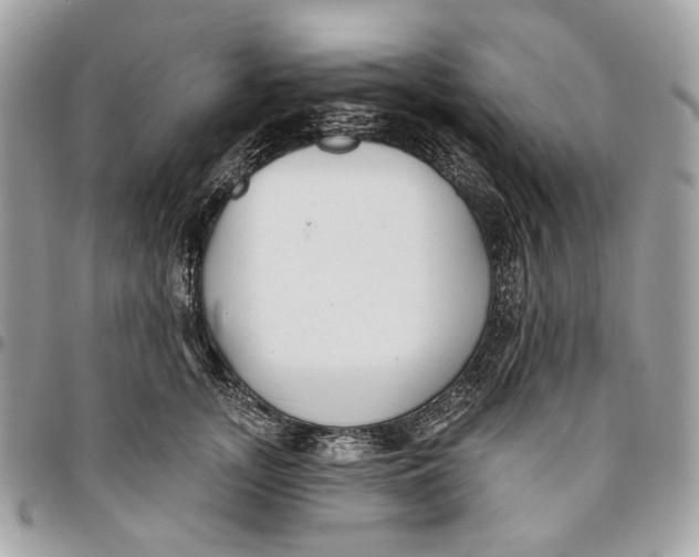 X0000096150755200802081411