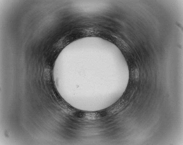 X0000096150757200802081411