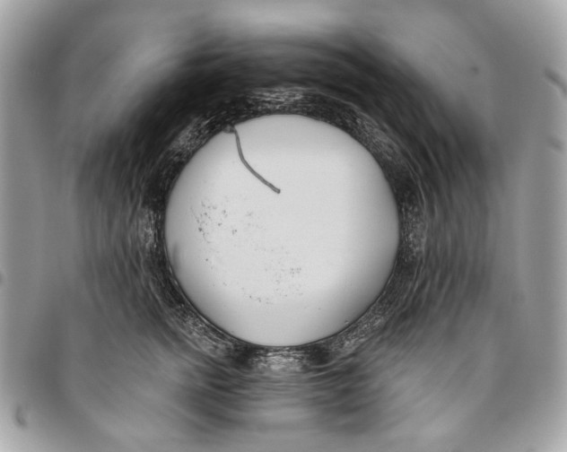 X0000096150758200802081411