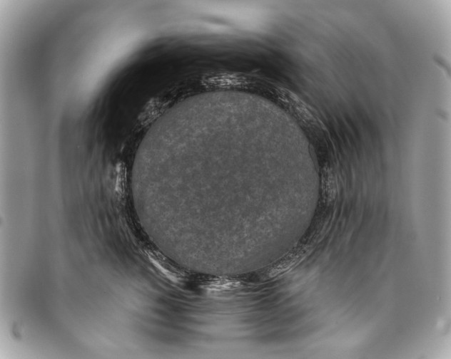 X0000096150760200802081411