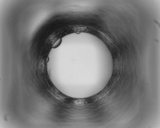 X0000096150761200802081411