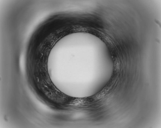 X0000096150764200802081411