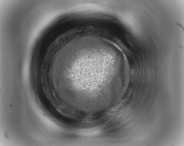 X0000096150765200802081412