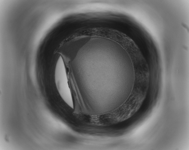 X0000096150766200802081412