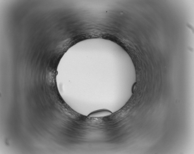 X0000096150768200802081412