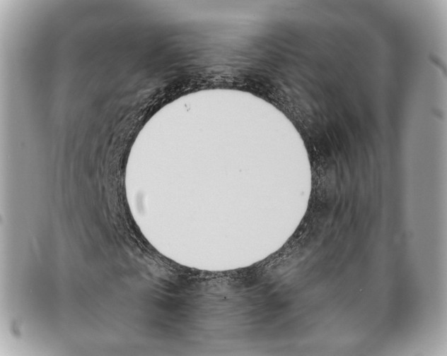 X0000096150769200802081411