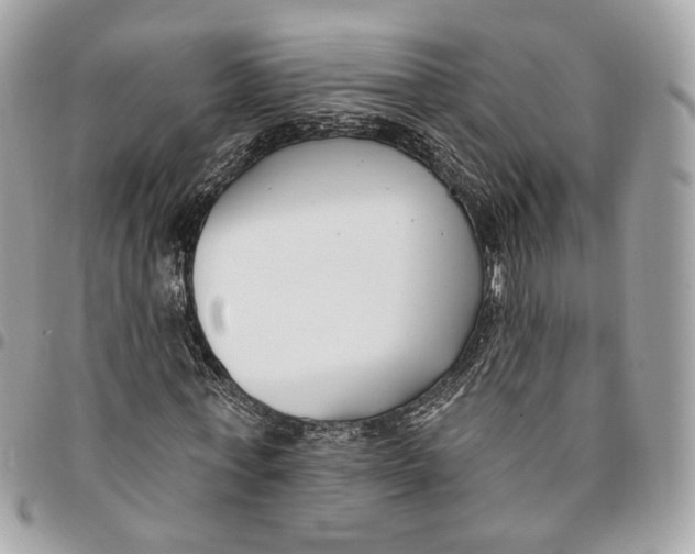 X0000096150771200802081411