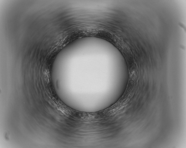 X0000096150772200802081411